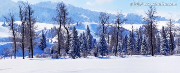 新疆伊犁那拉提草原冬雪