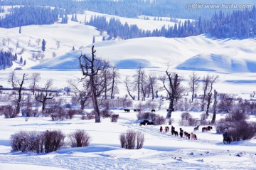 伊犁那拉提草原雪景