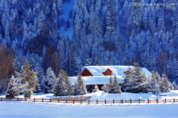 新疆伊犁那拉提冬季风景