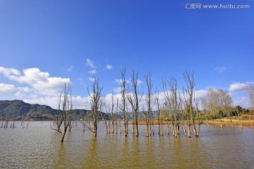 高原湿地