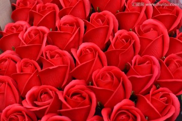 红玫瑰花背景