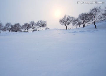 乌兰布统草原雪景