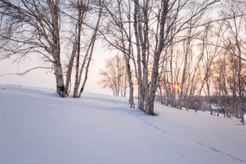 乌兰布统草原雪景