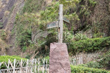 武夷山岩茶园 大红袍茶园