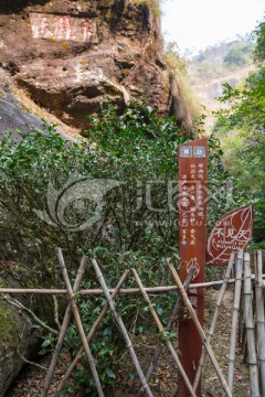 武夷山岩茶园 大红袍茶园