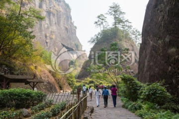 武夷山景区小路 林荫小道