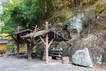 大红袍茶园 武夷山大红袍