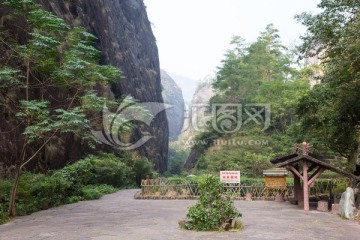 武夷山岩茶园 大红袍茶园