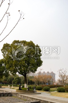 遠(yuǎn)處看書(shū)的女人
