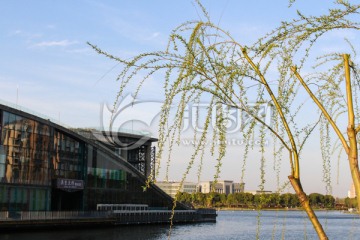 上海青浦图书馆