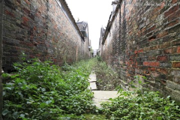 荒废小道 野草