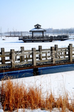 雪景