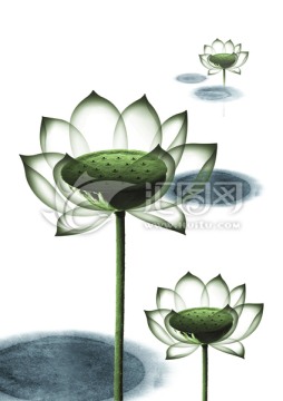 手繪綠色水墨荷花意像圖