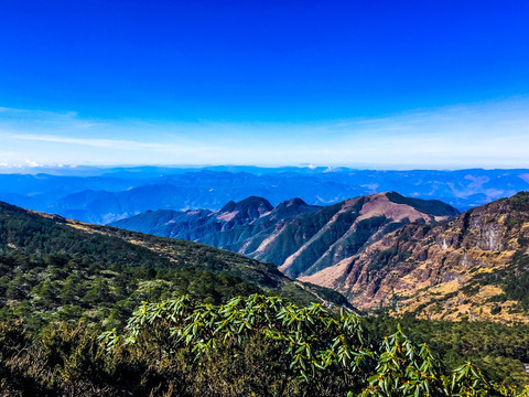 轿子雪山