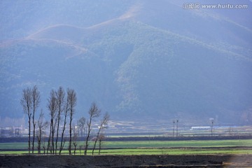 田野