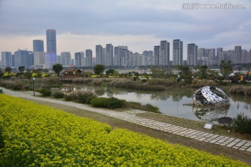 花海公园