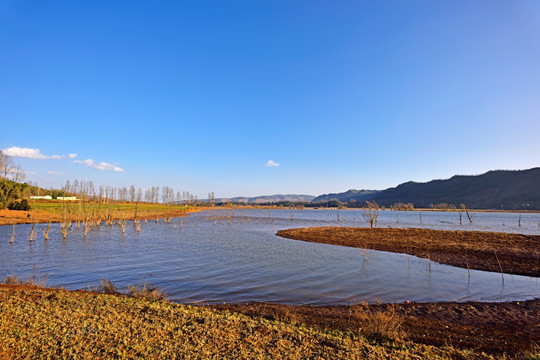 草原湿地