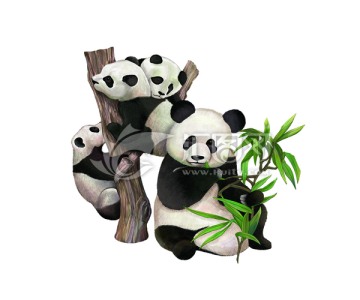 熊貓啃竹子