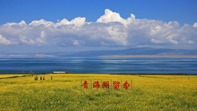 青海湖风光