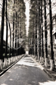 林蔭道