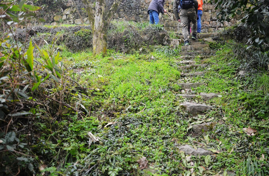 荒岛探险