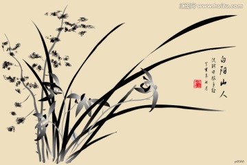 折葉墨蘭