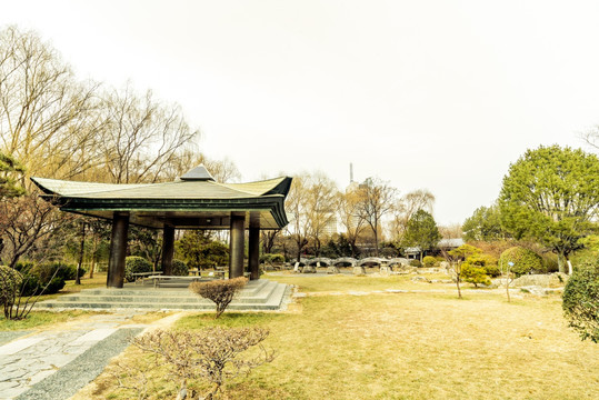 冬日公園一角