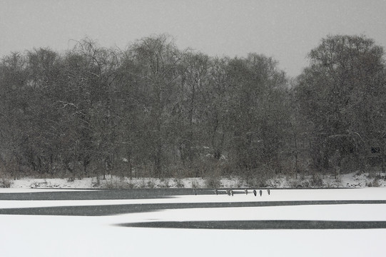 昆湖雪景