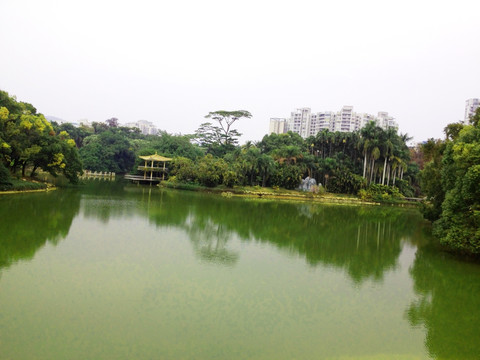 碧绿的人工湖泊