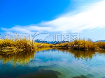 天然湿地