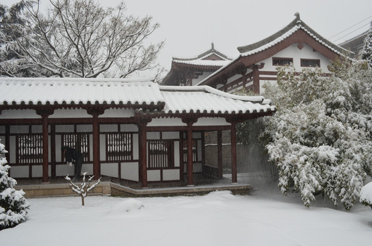 青龙寺