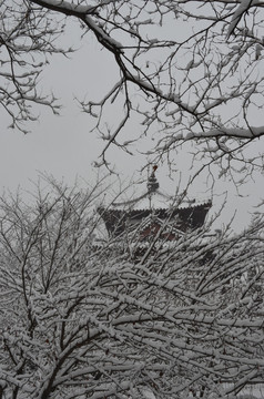 青龙寺