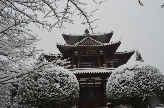 青龙寺