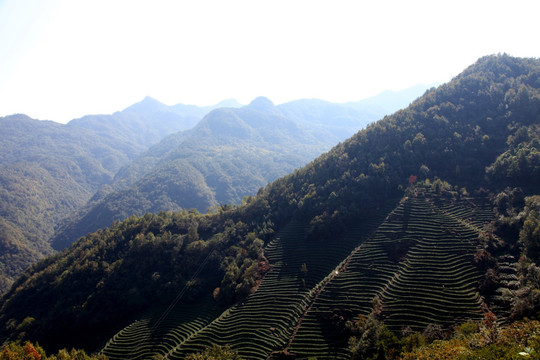 雾山云海