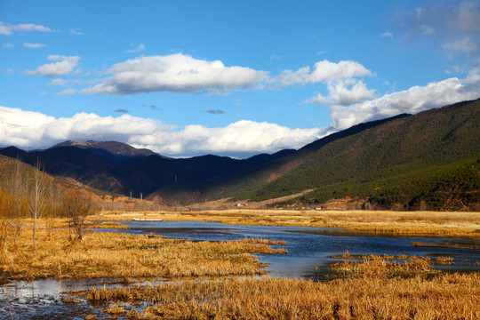 生态湿地