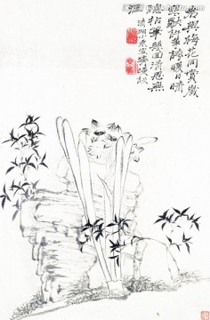 花卉冊十幀4