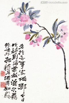 花卉冊十幀5