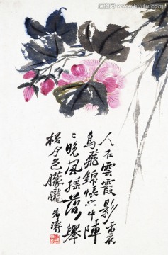 花卉册十帧8