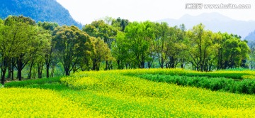 田野风光