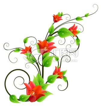 花藤花卉韓國花紋