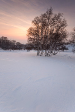 乌兰布统草原雪景