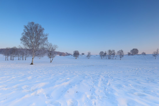 乌兰布统草原雪景