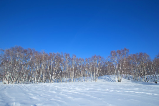 乌兰布统草原雪景