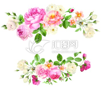 月季
