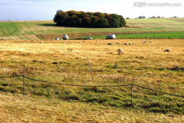 英国巨石阵草原