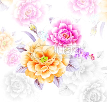 霧里看花