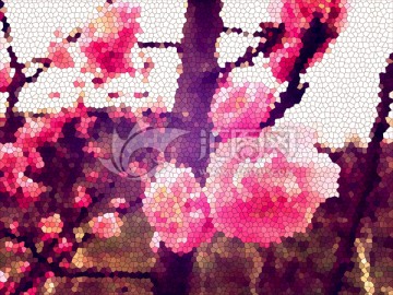 染色玻璃 花卉