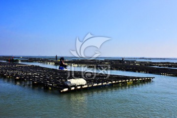 台湾海洋渔场