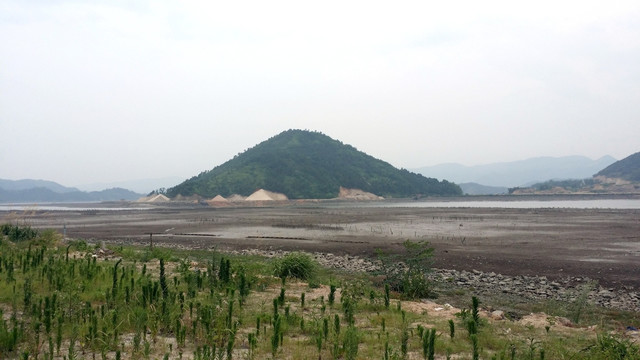 河岸风景