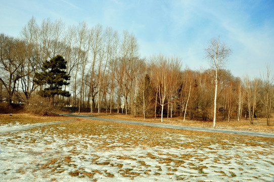 冬季园林景色
